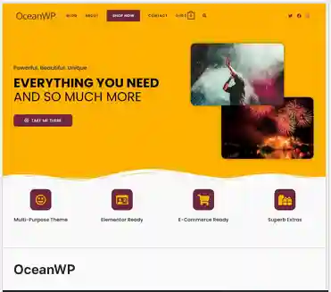 WP Theme OceanWP